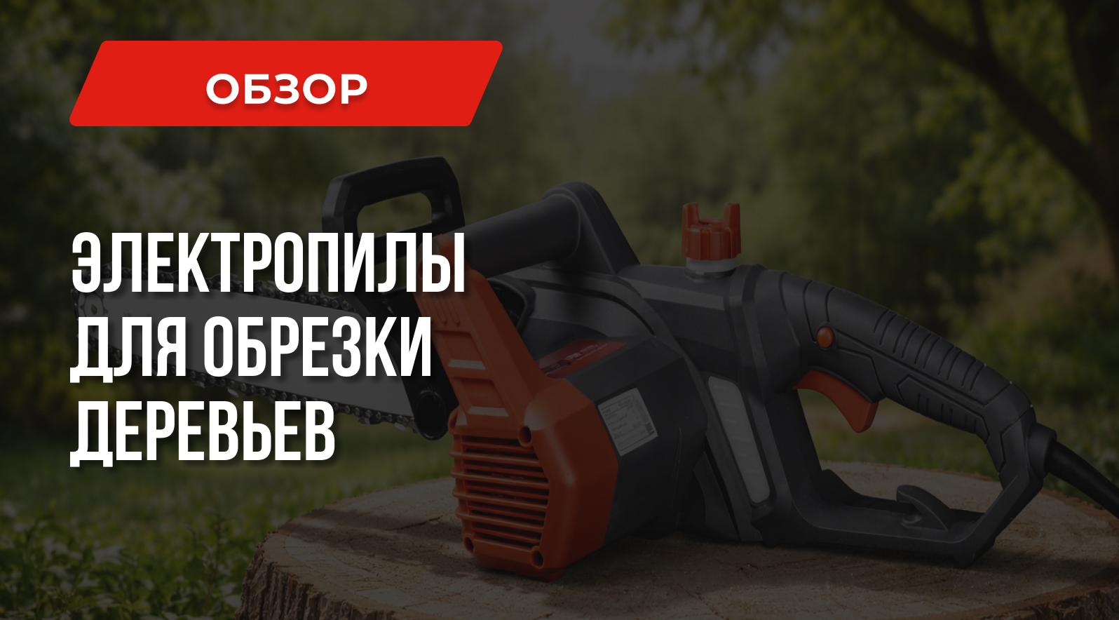 Электропилы для обрезки деревьев – Как выбрать лучший инструмент Электропилы для обрезки деревьев – Как выбрать лучший инструмент