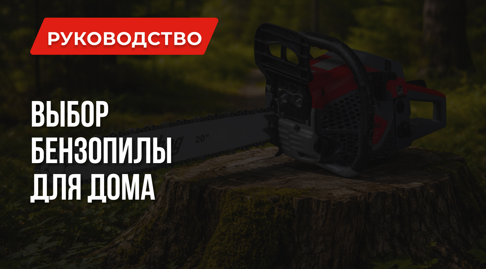 Какую бензопилу купить для дома – о чем не расскажут консультанты Какую бензопилу купить для дома – о чем не расскажут консультанты