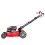 Газонокосилка бензиновая самоходная с двигателем FUBAG Honda FPL 56 SMH в Тюмени фото