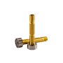 FUBAG Цанга c газовой линзой ф3.2 FB TIG 240-550W (2 шт.) в Тюмени фото